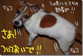 今日カズ０９１００３　６