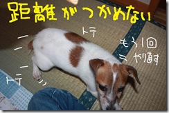 今日カズ０９１００４　２