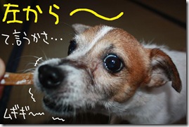 今日カズ０９１００４　６