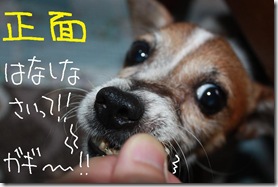 今日カズ０９１００４　８