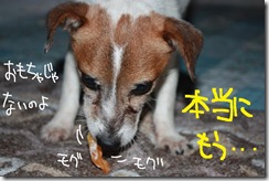 今日カズ０９１００４　９