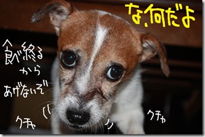 今日カズ０９１００４　１０