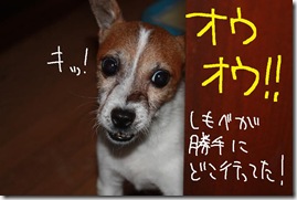 今日カズ０９１００５　１