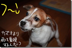今日カズ０９１００５　２