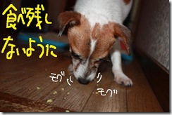 今日カズ０９１００５　５