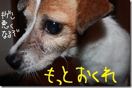 今日カズ０９１００５　６