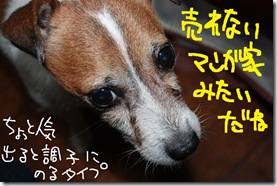 今日カズ０９１００６　１