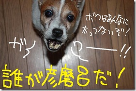 今日カズ０９１００６　２
