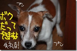 今日カズ０９１００６　３