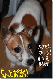 今日カズ０９１００７　３
