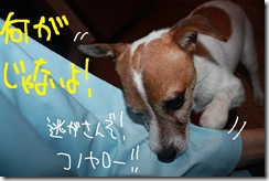 今日カズ０９１００７　４