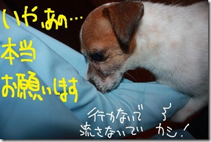 今日カズ０９１００７　５
