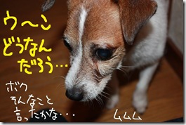 今日カズ０９１００７　６