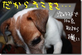 今日カズ０９１００８　３