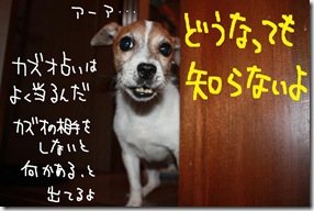 今日カズ０９１００８　６