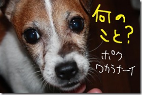 今日カズ０９１００９　２