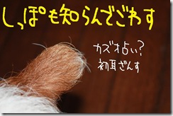 今日カズ０９１００９　３