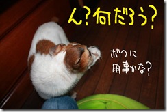 今日カズ０９１００９　４
