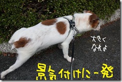 今日カズ０９１０１０　１