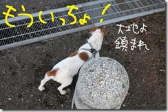 今日カズ０９１０１０　３