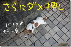 今日カズ０９１０１０　４