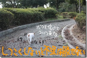 今日カズ０９１０１０　５