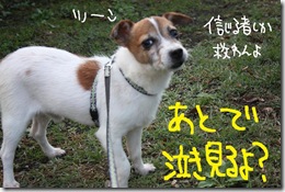 今日カズ０９１０１０　７
