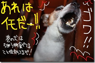今日カズ０９１０１１　４