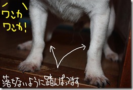 今日カズ０９１０１１　５