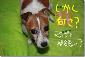 今日カズ０９１０１２　２