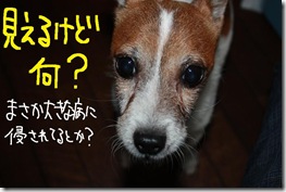 今日カズ０９１０１２　３