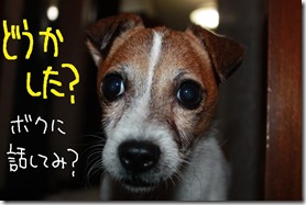 今日カズ０９１０１４　１