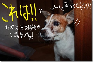 今日カズ０９１０１４　５