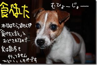 今日カズ０９１０１５　４