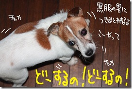 今日カズ０９１０１６　２