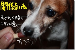 今日カズ０９１０１６　６