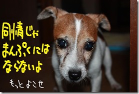 今日カズ０９１０１６　７