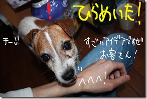 今日カズ０９１０１７　４