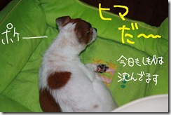 今日カズ０９１０２０　１