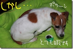 今日カズ０９１０２１　２