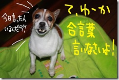 今日カズ０９１０２４　２