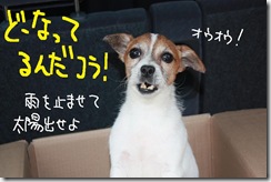 今日カズ０９１０２５　２
