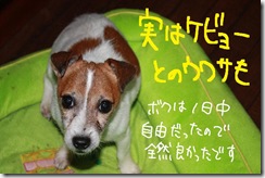 今日カズ０９１０２７　１
