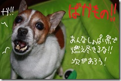 今日カズ０９１０２７　２