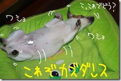 今日カズ０９１０２７　８