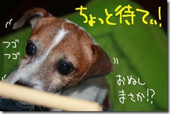 今日カズ０９１０２９　２