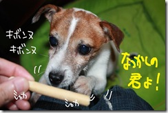 今日カズ０９１０２９　３