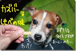 今日カズ０９１０２９　４