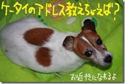 今日カズ０９１０３０　１