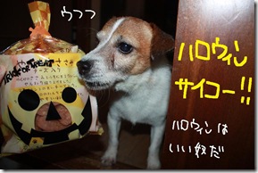 今日カズ０９１０３０　３